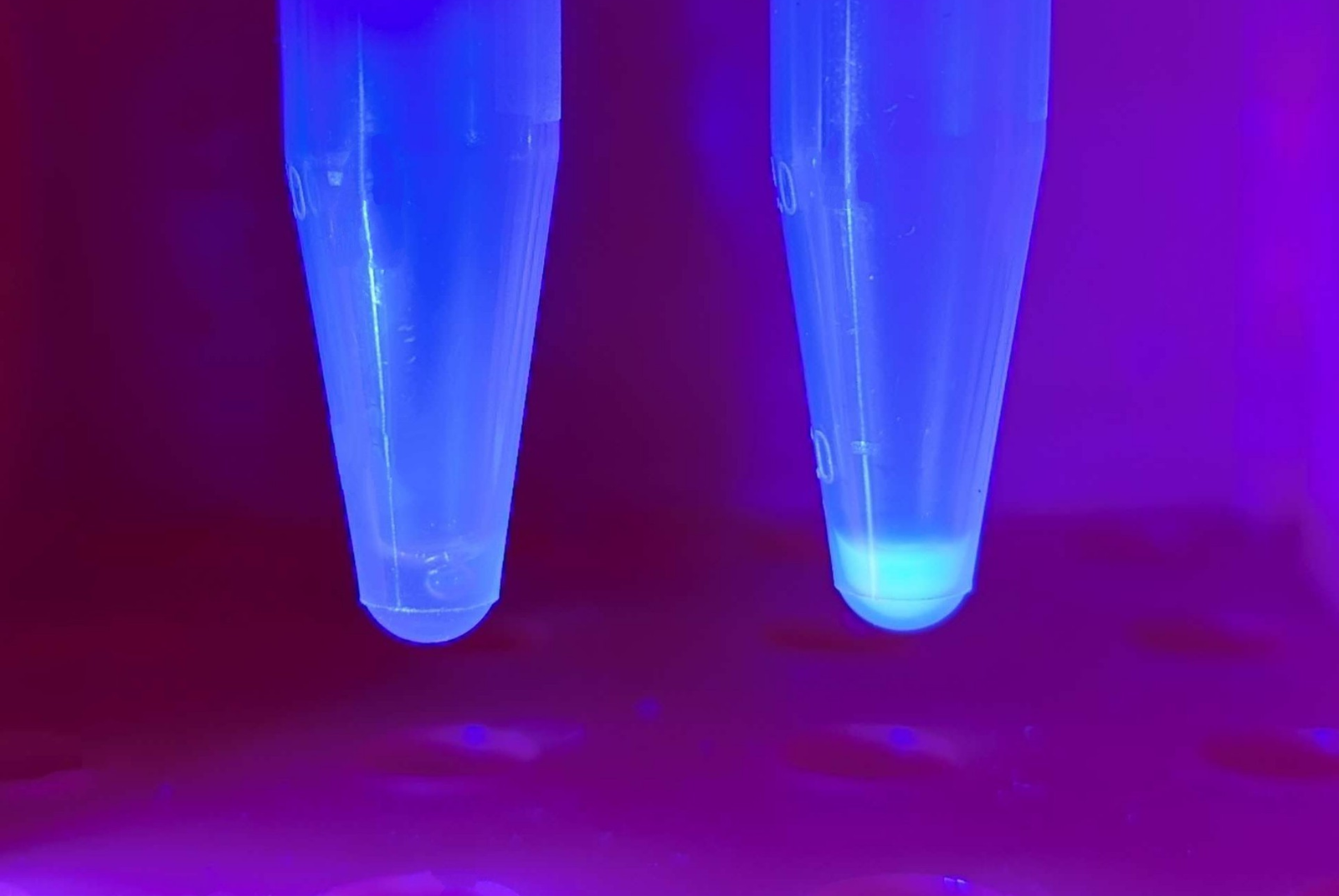 Liberum's Performance Metrics